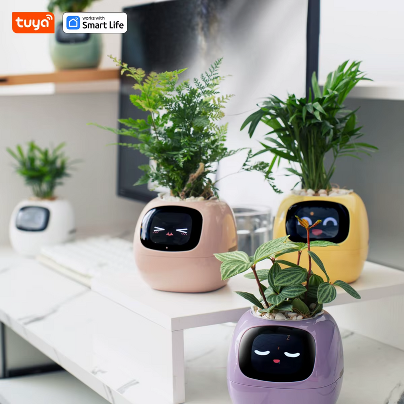 Interactive Smart Planter